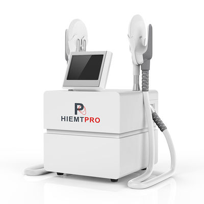 El músculo portátil estimula la máquina gorda de la hornilla del ccsme para la pérdida de peso
