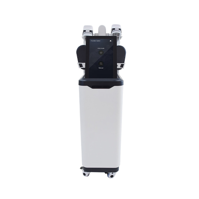 Uso de salón Cryolipolysis EMS NEO Escultura Máquina de adelgazamiento vertical