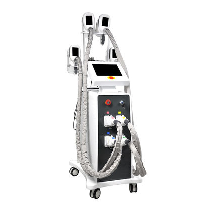 Helada gordo Cryolipolysis del ccsme que adelgaza al OEM de la máquina 800W