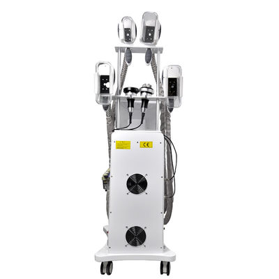 Helada gordo Cryolipolysis del ccsme que adelgaza al OEM de la máquina 800W
