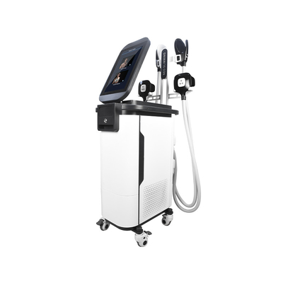 2 en 1 cuerpo del ccsme Cryo esculpir la máquina  4 maneja la máquina muscular de Estimulador