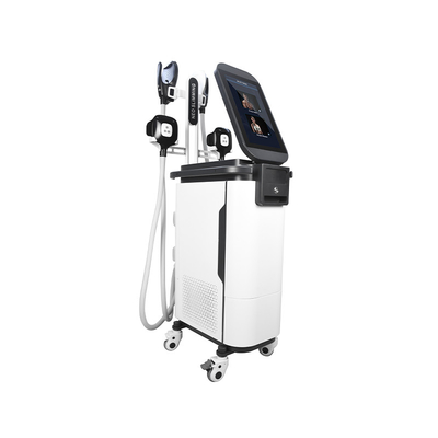 2 en 1 cuerpo del ccsme Cryo esculpir la máquina  4 maneja la máquina muscular de Estimulador