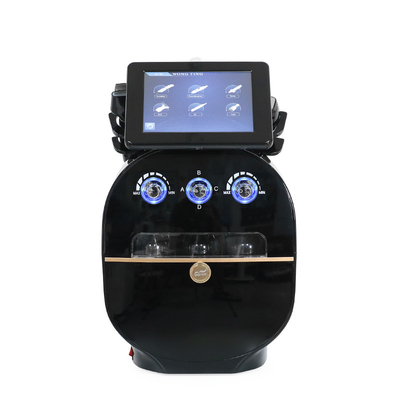 6 en 1 Máquina de Dermoabrasión Facial con 6 asas