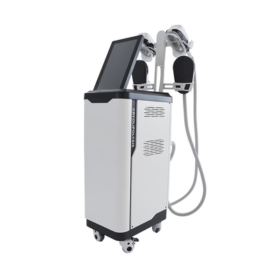 Uso de salón Cryolipolysis EMS NEO Escultura Máquina de adelgazamiento vertical