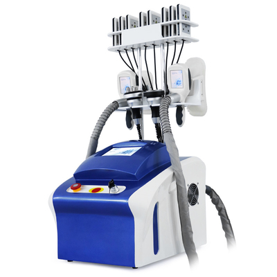 Máquina de congelación de grasa para la eliminación de grasa de la cryolipólisis profesional Máquina de adelgazamiento corporal