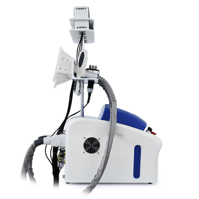 Máquina de congelación de grasa para la eliminación de grasa de la cryolipólisis profesional Máquina de adelgazamiento corporal