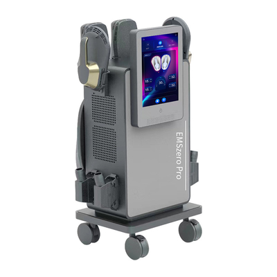 EMS máquina de formación de cuerpo con RF EMS 4 manijas con cojín