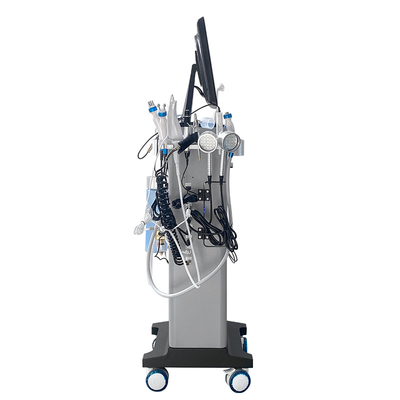 15 en 1 Hydra Dermabrasion Aqua Facial Vacuum Eliminación de cabeza negra Máquina de hidrodermabrasión