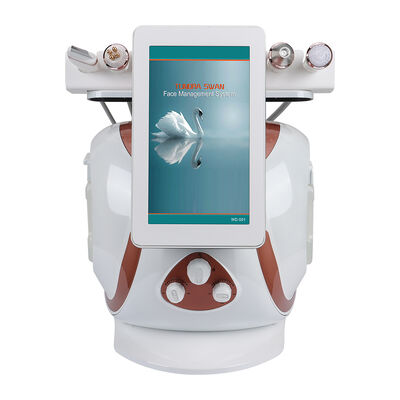 Máquina hidrafacial de burbujas pequeñas de oxígeno y hidrógeno 8 en 1, equipo multifuncional para salón de cuidado de la piel Facial