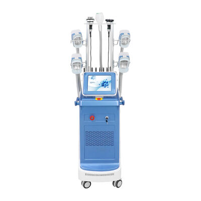 Máquina de congelación de grasa con criolipólisis circundante 360 ​​Equipo de adelgazamiento con criolipolisis para contorno corporal no invasivo para salón clínico Reducción de grasa Eliminación de celulitis